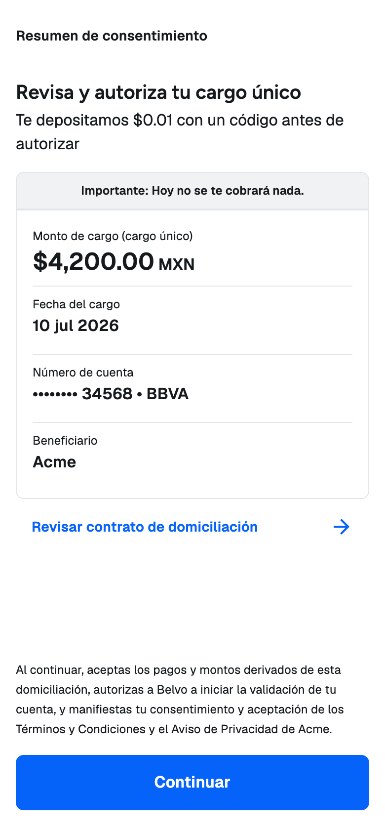 Authorization summary for a single charge
